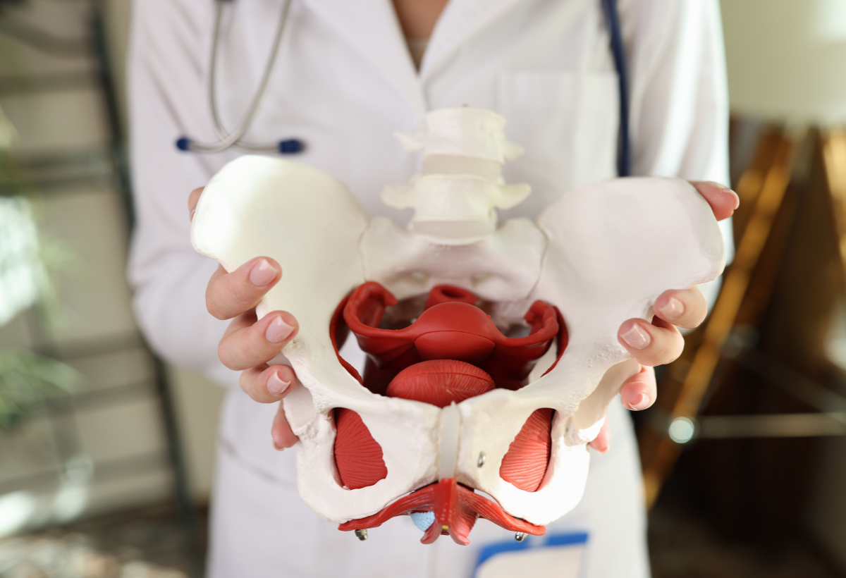 The Future of Women’s Pelvic Health: New Innovations to Watch