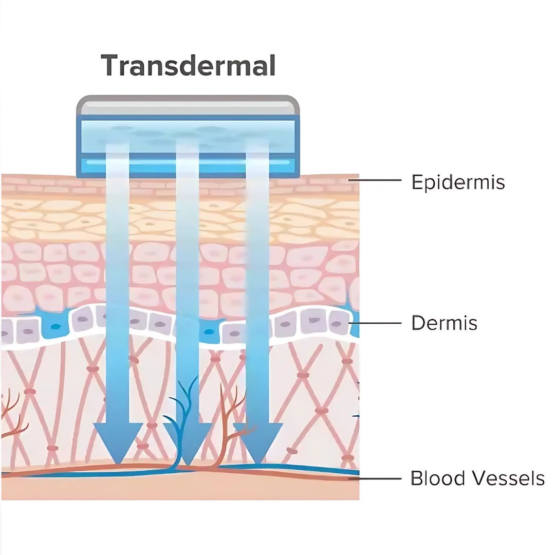 Bladder Control Patches (x6)